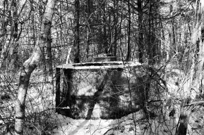 Marion Shared Use Path 
At one time an open field, this wooded area behind the Benson Brook Landfill in Marion was home to a tower. Its cable anchors are still in place, along with pieces of a very rusty automobile frame. Photos by Mick Colageo
