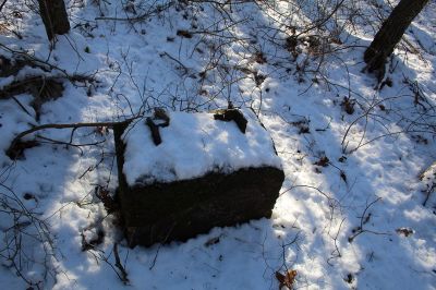 Marion Shared Use Path 
At one time an open field, this wooded area behind the Benson Brook Landfill in Marion was home to a tower. Its cable anchors are still in place, along with pieces of a very rusty automobile frame. Photos by Mick Colageo
