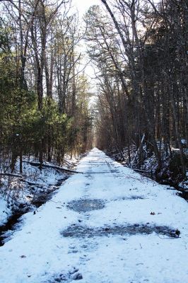 Rail Trail
Friday afternoon provided an opportunity to venture out behind the Benson Brook Landfill to long-abandoned train tracks that will be transformed into a stretch of the Marion Shared Use Path. This view looks west toward Mattapoisett. In the opposite direction, the bike path will cross Route 105, Washburn Park and out to Point Road. Photo by Mick Colageo
