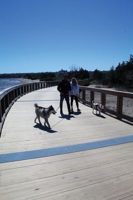 Mattapoisett Bike Path
A newly signed Memorandum of Understanding between the Town of Mattapoisett and the Commonwealth of Massachusetts has opened the Shining Tides section of the Mattapoisett Bike Path. On Monday, people and dogs could be seen along the attractive structure that connects Reservation Road to Goodspeed Island Road. Photos by Mick Colageo
