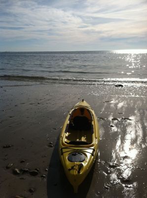 Springtime in November
Many of our readers have taken advantage of the unseasonably warm weather to get out and enjoy themselves. Thanks to Lee-Ann Longo Pallatroni fro sharing this great photo of a recent kayak trip around Marion harbor.
