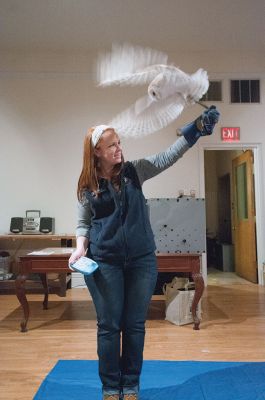 Birds of Prey
Emily George of the Mass Audubon society shows off one of the guests at the “Birds of Prey” event on Friday at the Marion Natural History Museum. Photo by Felix Perez. 
