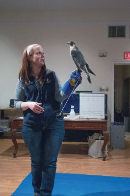 Birds of Prey
Emily George of the Mass Audubon society shows off one of the guests at the “Birds of Prey” event on Friday at the Marion Natural History Museum. Photo by Felix Perez. 
