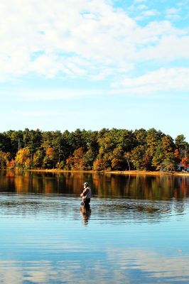 Tuesday Morning Fishing
For some of Tuesday morning, Bob Perry of West Bridgewater was all by himself while fly fishing for trout in Mary’s Pond, but eventually he was joined by another angler. On the other side of the pond, remote operators were flying their model airplanes. Photo by Mick Colageo - October 26, 2023 edition
