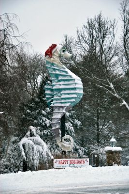 Winter Wonderland
Reader Bodil Perkins sent in a picture of Salty the Seahorse right after the December 20, 2009 noreaster. Photo by Bodil Perkins.
