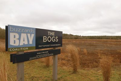 The Bogs in Mattapoisett 
The Buzzards Bay Coalition on Saturday, January 16 led a group through The Bogs in Mattapoisett for a winter hike. Walkers donned raingear just in case the rain wasn’t quite over yet. Photos by Colin Veitch
