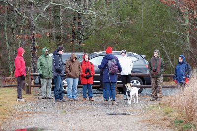 The Bogs in Mattapoisett 
The Buzzards Bay Coalition on Saturday, January 16 led a group through The Bogs in Mattapoisett for a winter hike. Walkers donned raingear just in case the rain wasn’t quite over yet. Photos by Colin Veitch
