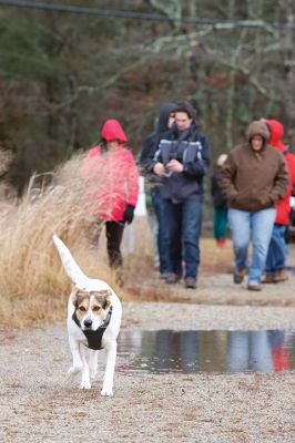 The Bogs in Mattapoisett 
The Buzzards Bay Coalition on Saturday, January 16 led a group through The Bogs in Mattapoisett for a winter hike. Walkers donned raingear just in case the rain wasn’t quite over yet. Photos by Colin Veitch
