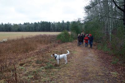 The Bogs in Mattapoisett 
The Buzzards Bay Coalition on Saturday, January 16 led a group through The Bogs in Mattapoisett for a winter hike. Walkers donned raingear just in case the rain wasn’t quite over yet. Photos by Colin Veitch
