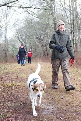 The Bogs in Mattapoisett 
The Buzzards Bay Coalition on Saturday, January 16 led a group through The Bogs in Mattapoisett for a winter hike. Walkers donned raingear just in case the rain wasn’t quite over yet. Photos by Colin Veitch
