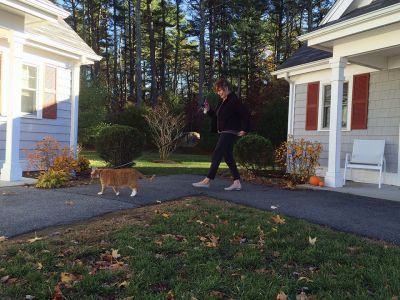 Boots
Marion resident ‘Boots’ the cat, AKA ‘Mr. Boots’ is a familiar sight to neighbors of Little Neck Village in Marion when he takes his owner Suzanne Peterson out for a walk around his little world several times a day with his little cat collar and leash. Mr. Boots is a regular passing by the doors of his neighbors who give him treats and bid him a good day before he leads Peterson off on their merry way. Photos by Marilou Newell
