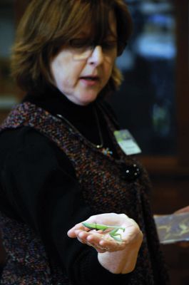 Bugworks
The Marion Natural History Museum provided an opportunity on February 27 to get up close and personal with critters from the insect world, including praying mantises and jumbo-sized grasshoppers. Above: Tapper Crete, 7, was the first one brave enough to ask to touch a praying mantis. The event was hosted by Maire Anne Diamond, owner and educator at ‘Bugworks.’ Photos by Felix Perez
