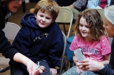 Bugworks
The Marion Natural History Museum provided an opportunity on February 27 to get up close and personal with critters from the insect world, including praying mantises and jumbo-sized grasshoppers. Above: Tapper Crete, 7, was the first one brave enough to ask to touch a praying mantis. The event was hosted by Maire Anne Diamond, owner and educator at ‘Bugworks.’ Photos by Felix Perez
