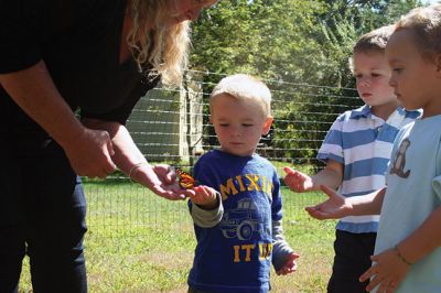 Butterfly Release
Debbie Thompson of Marion raised monarch butterflies from caterpillar to chrysalis with her preschool students and finally released them on September 26. This is the second year Thompson raised butterflies, tagged them, and released them into the wild with her students. “For the kids it’s such a magical thing,” said Thompson. The bright blue sky made a spectacular backdrop for the butterflies’ bright wings as they flew away. Photos by Jean Perry
