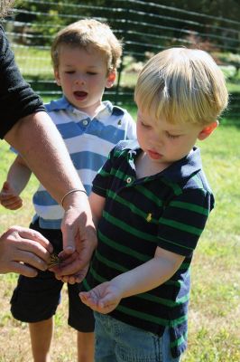 Butterfly Release
Debbie Thompson of Marion raised monarch butterflies from caterpillar to chrysalis with her preschool students and finally released them on September 26. This is the second year Thompson raised butterflies, tagged them, and released them into the wild with her students. “For the kids it’s such a magical thing,” said Thompson. The bright blue sky made a spectacular backdrop for the butterflies’ bright wings as they flew away. Photos by Jean Perry
