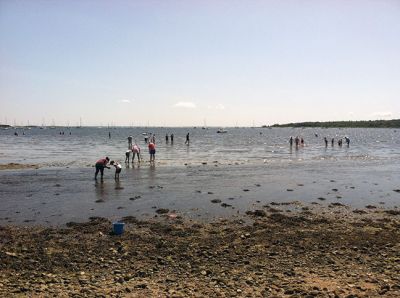 Quahogging
Some locals learned the basics of quahogging on Saturday, August 9, as part of the Buzzards Bay Coalition’s Bay Adventure series. Participants gathered at Mattapoisett Beach at Camp Massasoit and, led by BBC Outdoor Educator Meghan Gahm, received a little Quahogging 101. Photo By Renae Reints - August 14, 2014 edition
