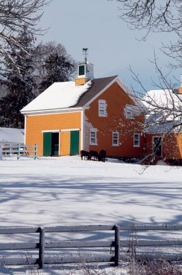 Last Snow? Hope So!
Even though the February 10, 2010 nor'easter didn't bring as much snow as forecasters predicted, it was still a sizable late winter storm. Pictured on the front cover is the Hiller Farm in Rochester the day after the storm, where even the horses are dreaming about spring. Photo by Anne O'Brien-Kakley. February 18, 2010 edition
