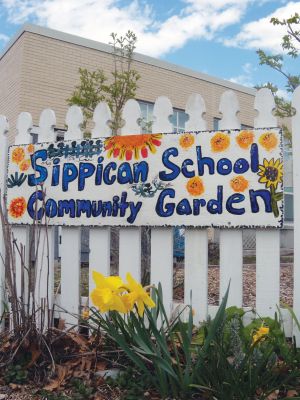 Green Thumbs
Diane Wood's class at Sippican Elementary are hard at work in their community garden. Ms. Wood leads a six-week gardening club for students who want to learn how to garden, compost, plant and harvest. Photo by Laura Pedul. April 15, 2010 edition
