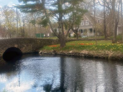 Mattapoisett River
Flowers blooming along the Mattapoisett River, photo taken by Melissa Chase.
