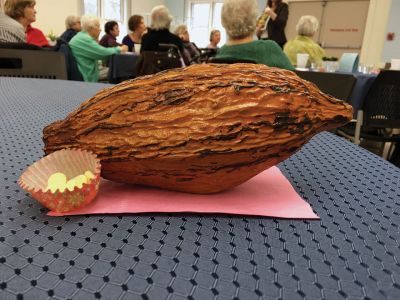 Cocoa Beantown
On February 12, the Marion COA hosted a talk all about chocolate. Victoria Kichuk of Cocoa Beantown discussed how and where cocoa is grown and manufactured and the varieties available, and displayed a sample of a large cocoa pod. Photos by Marilou Newell
