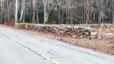 George's Pony Pasture
On Saturday morning, a work crew gathered at George's Pony Pasture on Mattapoisett Road in Rochester. They attacked the briers, bittersweet, brush and tree trunks. About half the length of the wall was cleaned up in this initial effort, but there's more to be done. Our thanks to Art Benner, Ken Josephson, Kelly and Derek Barratt, and Russ, Wendy, and Howard Keeler for their efforts this morning. Photo courtesy of the Rochester Land Trust
