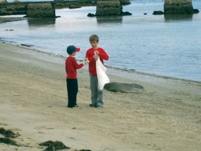 Cleaning Up
Brendan and Harrison Burke, ages five and nine, help pick up trash at Silver Shore Beach in Marion at the 2009 Conservancy Coastal Sweep, led by Peter Converse.

