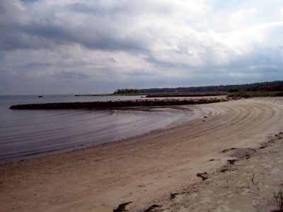 Cleaning Up
Silvershell Beach on the morning of the 2009 Conservancy Coastal Sweep, an effort that cleaned the Marion and Wareham shores on October 4.


