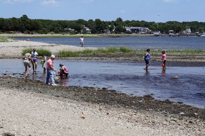 Shining Tides in Mattapoisett
Children explored the shore with Cassie Lawson and Becca Stroud from the Buzzards Bay Coalition on July 31 at Shining Tides in Mattapoisett, enjoying a scavenger hunt along with the exploration of sea animal habitats. Photos by Jean Perry
