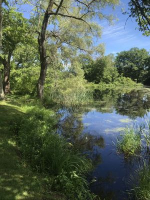 River Road
Lois Cosgrove captured the ethereal beauty of late summer in Mattapoisett where the old River Road stone arch bridge crosses the Mattapoisett River.
