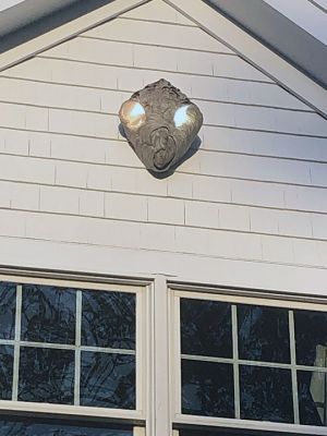 Hornets Nest
Julie Craig shared this picture of a hornets’ nest on her house attached to two floodlights, which resembles an alien – very creepy, but cool, as we head into the Halloween season.
