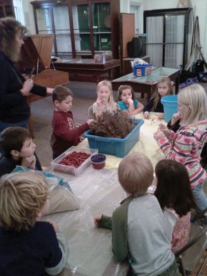 Cranberry Program
On Wednesday, Nov. 20th, he Marion Natural History Museum after-school group investigated how a cranberry bog formed in New England.  Museum Director, Elizabeth Leidhold, helped the kids to explore the physical structure of a bog, and how to tell a healthy berry from a rotten one.  The students then made “mini-bogs” to take home. Photo courtesy Elizabeth Leidhold
