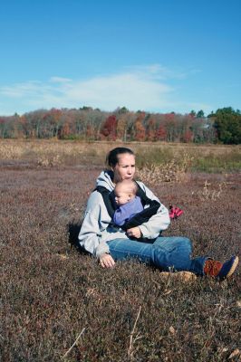 Cranberry Outing
Perfect weather brought out the young and the young at heart to the second annual cranberry harvest at “The Bogs” on Acushnet Road in Mattapoisett, a Buzzards Bay Coalition property. The retired bog acreage is slowly returning to meadows and woodlands. But for now cranberries continue to grow giving the do-it-yourself harvester a chance to enjoy nature’s bounty. Photos by Marilou Newell
