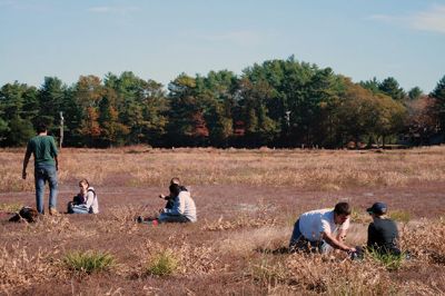 Cranberry Outing
Perfect weather brought out the young and the young at heart to the second annual cranberry harvest at “The Bogs” on Acushnet Road in Mattapoisett, a Buzzards Bay Coalition property. The retired bog acreage is slowly returning to meadows and woodlands. But for now cranberries continue to grow giving the do-it-yourself harvester a chance to enjoy nature’s bounty. Photos by Marilou Newell
