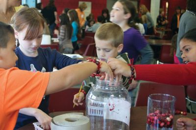 Cranberry Science
At a special event highlighting all things cranberry, 80 Rochester Memorial School third-graders explored the different attributes of the fruit using all of their senses in curriculum-based science and math activities. Photos by Laura Pedulli.
