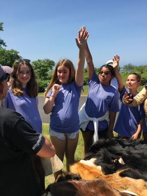 Island Classroom
The “Island Classroom” trip was held on June 1 in concert with the Mattapoisett Land Trust and the Mattapoisett Cultural Council, which sponsored 61 Old Hammondtown sixth-graders for a scientific day of workshops and activities with the STEAM Academy and island classroom. Photos courtesy of Ellen P. Flynn, MLT
