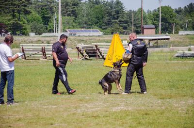 SouthCoast Working Dog Club
The SouthCoast Working Dog Club held a three-day Schutzhund trial at the Rochester Country Fairgrounds on May 27-29. The event is a competition in training, tracking, obedience, and protection for working breeds of dogs. Training Director Mario Gomes’ German shepherd, “Caribou,” is headed to the World Championship in Slovenia to represent the USA. Photos by Jean Perry and Denzil Ernstzen
