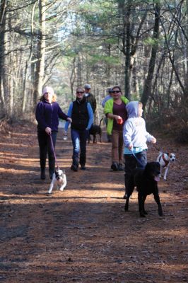 Hot-To-Trot Dog Walk
On November 30, a spring-like winter’s day, the Sippican Lands Trust held its 2nd annual Hot-To-Trot Post-Thanksgiving Day dog walk. About 12 dogs of all shapes and sizes brought their humans out for a guided tour of the White Eagle property located off Route 6 in Marion. Dogs received stylish orange neckerchiefs and dog treats. Photo by Marilou Newell
