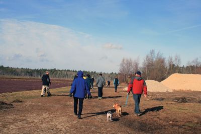 Hot-To-Trot Dog Walk
On November 30, a spring-like winter’s day, the Sippican Lands Trust held its 2nd annual Hot-To-Trot Post-Thanksgiving Day dog walk. About 12 dogs of all shapes and sizes brought their humans out for a guided tour of the White Eagle property located off Route 6 in Marion. Dogs received stylish orange neckerchiefs and dog treats. Photo by Marilou Newell
