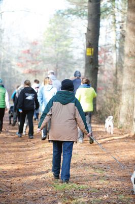 Hot to Trot
The third annual “Hot to Trot” dog walk hosted by the Sippican Lands Trust brought about 20 dogs and at least twice as many humans out for a post-Thanksgiving walk at the SLT’s White Eagle property in Marion on November 29. The property is about 1,200 contiguous acres of conservation land including 24 acres of cranberry bogs. Photos by Colin Veitch
