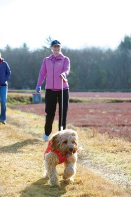 Hot to Trot
The third annual “Hot to Trot” dog walk hosted by the Sippican Lands Trust brought about 20 dogs and at least twice as many humans out for a post-Thanksgiving walk at the SLT’s White Eagle property in Marion on November 29. The property is about 1,200 contiguous acres of conservation land including 24 acres of cranberry bogs. Photos by Colin Veitch
