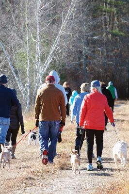 Hot to Trot
The third annual “Hot to Trot” dog walk hosted by the Sippican Lands Trust brought about 20 dogs and at least twice as many humans out for a post-Thanksgiving walk at the SLT’s White Eagle property in Marion on November 29. The property is about 1,200 contiguous acres of conservation land including 24 acres of cranberry bogs. Photos by Colin Veitch
