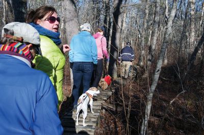 Hot to Trot
The third annual “Hot to Trot” dog walk hosted by the Sippican Lands Trust brought about 20 dogs and at least twice as many humans out for a post-Thanksgiving walk at the SLT’s White Eagle property in Marion on November 29. The property is about 1,200 contiguous acres of conservation land including 24 acres of cranberry bogs. Photos by Colin Veitch
