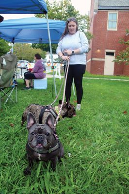 Dog Walk-a-thon
The annual Dog Walk-a-thon was held on Saturday morning at Center School. Organizers hope to raise awareness that will eventually lead to Mattapoisett getting a dog park. Photos by Mick Colageo
