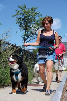 FUNdraising
Saturday was a FUNdraising day in Mattapoisett, which included the now Annual Dog Walk-A-Thon fundraiser put on by Mattapoisett Eagle Scout Freemin Bauer. The proceeds from the event will continue to fund a potential dog park in town. Photos by Michelle Wood Lynds and Jean Perry
