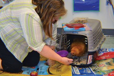 Dorothy the chicken
Dorothy the chicken visited the Project Grow students (pictured here) and the kindergarten kids on Monday, November 6, for a story time hosted by Evelyn Golden and Molly Vollmer of the Plymouth County Extension 4-H Office. This brief intro to embryology, along with Dorothy’s charming demeanor, was enough to excite the kids about the joys of keeping chickens. Photos by Jean Perry
