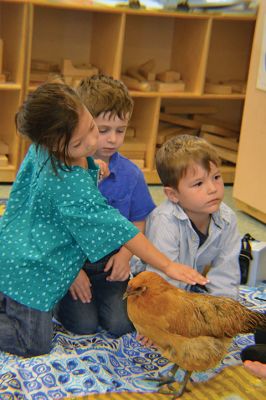 Dorothy the chicken
Dorothy the chicken visited the Project Grow students (pictured here) and the kindergarten kids on Monday, November 6, for a story time hosted by Evelyn Golden and Molly Vollmer of the Plymouth County Extension 4-H Office. This brief intro to embryology, along with Dorothy’s charming demeanor, was enough to excite the kids about the joys of keeping chickens. Photos by Jean Perry
