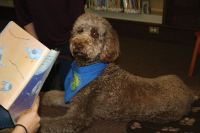 Jenna and Sadie
Jenna Gifford and her two-year-old Goldendoodle named Sadie hope to help Center School students improve their reading skills.
