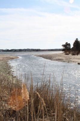 Rail Trail
One of the obstacles in the next leg of the Rail Trail is the Eel Pond inlet which will need to be bridged. The Friends of the Bike Path (Mattapoisett) will be holding a meeting on February 28 at 6:30pm at the Mattapoisett Library to go over the bike path progress. 

