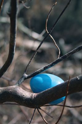 Sippican Lands Trust Easter Egg Hunt
The Sippican Lands Trust hosted another Easter egg hunt at its Peirson Woods property off Point Road on Sunday, April 14. It was a successful hunt for the dozen or so kids who found every single one of the 600 eggs hidden along the trail. Photos by Jean Perry
