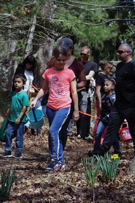 Sippican Lands Trust Easter Egg Hunt
The Sippican Lands Trust hosted another Easter egg hunt at its Peirson Woods property off Point Road on Sunday, April 14. It was a successful hunt for the dozen or so kids who found every single one of the 600 eggs hidden along the trail. Photos by Jean Perry
